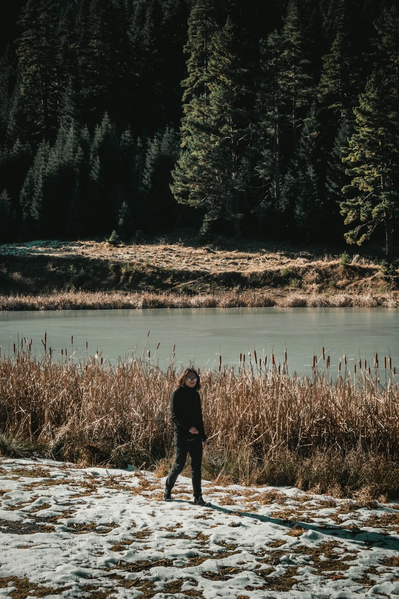 A lone figure walking on snow beside a reed-lined lake under pine trees